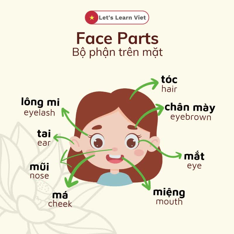@Lets Learn Viet