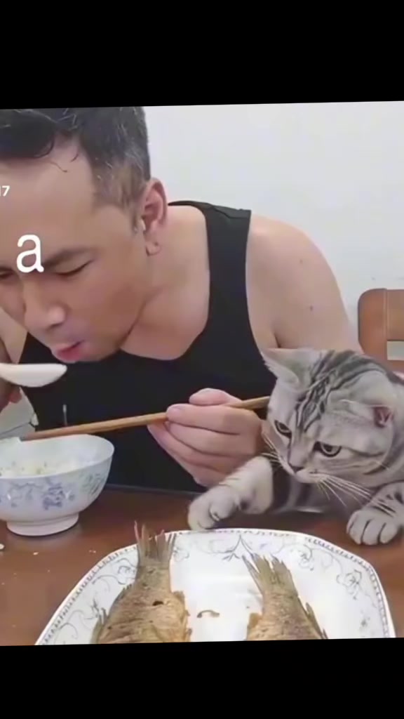 @арсен🤪