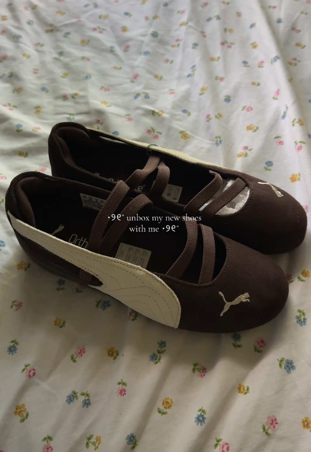 @𝘦𝘭𝘰𝘪𝘴𝘢𝘦𝘭𝘢𝘴 ⋆୨୧˚