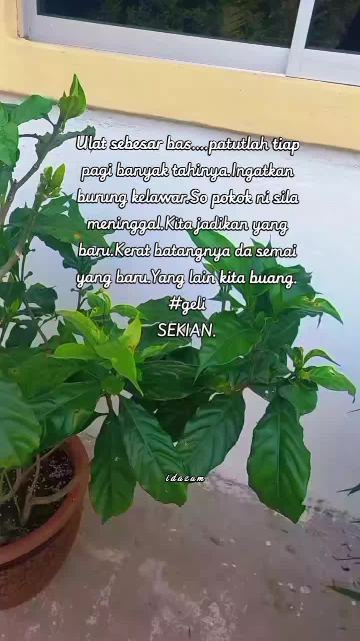 @aidaida1508