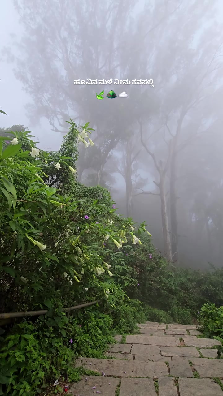 @●ಮಲ್ನಾಡ್ ಹುಡ್ಗ●