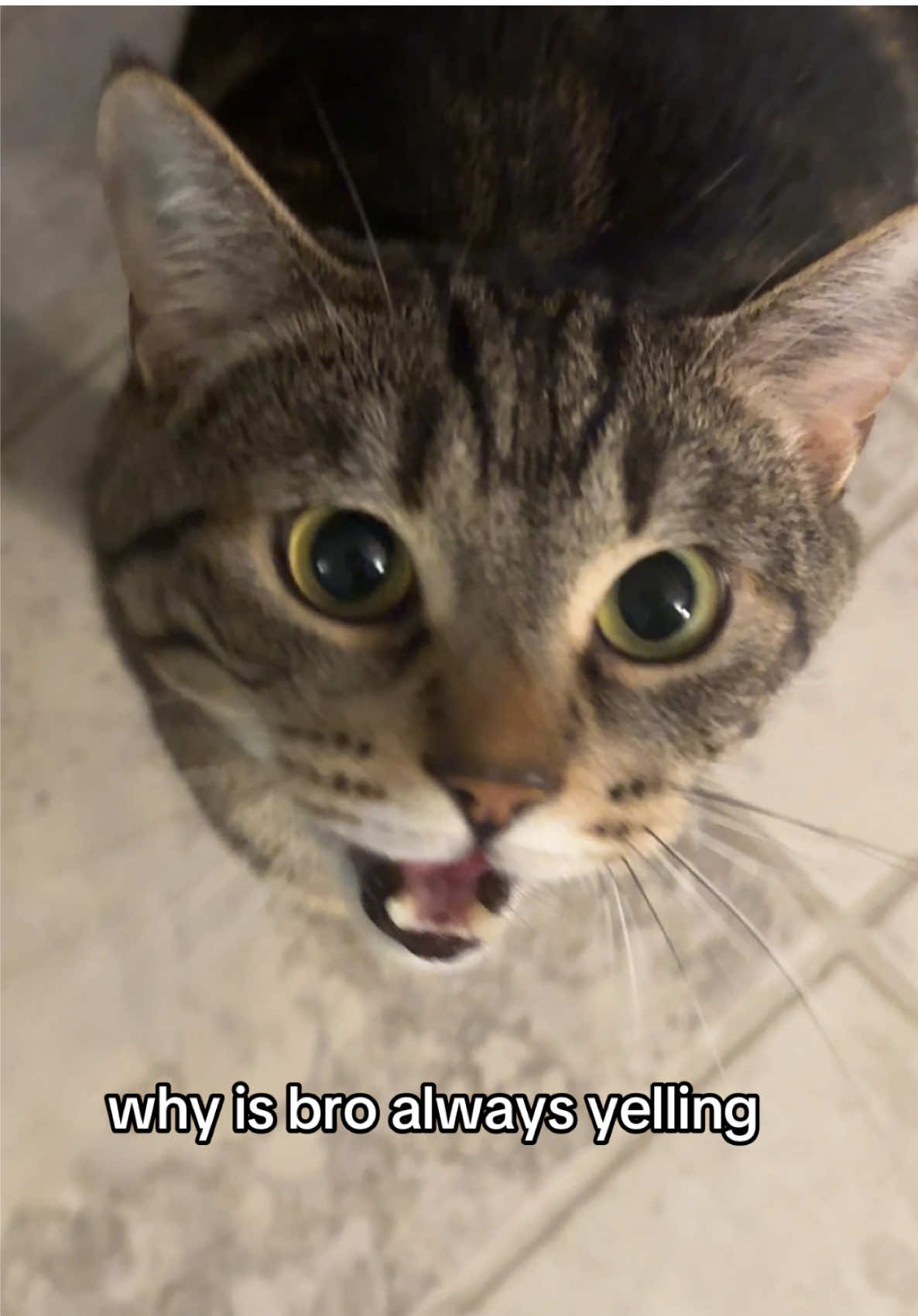 @Blawg