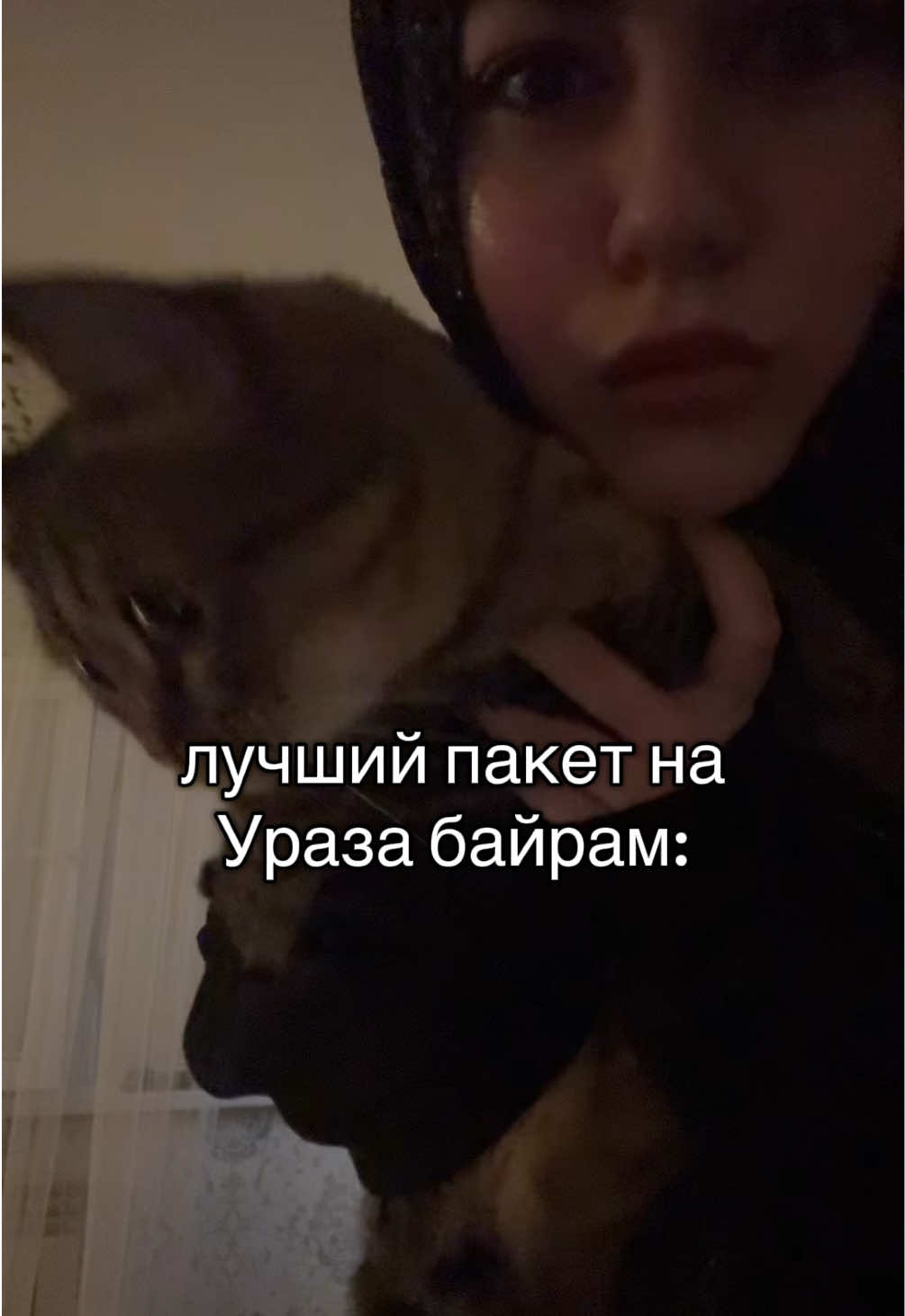 @alika_meow0