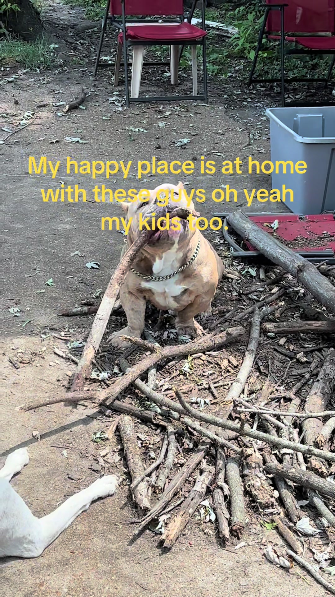 @Tami
