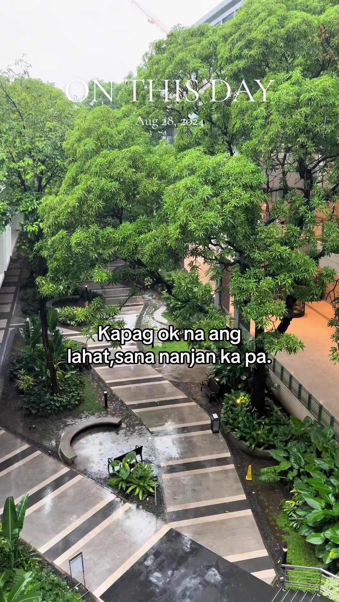 @Maxene Grey❤