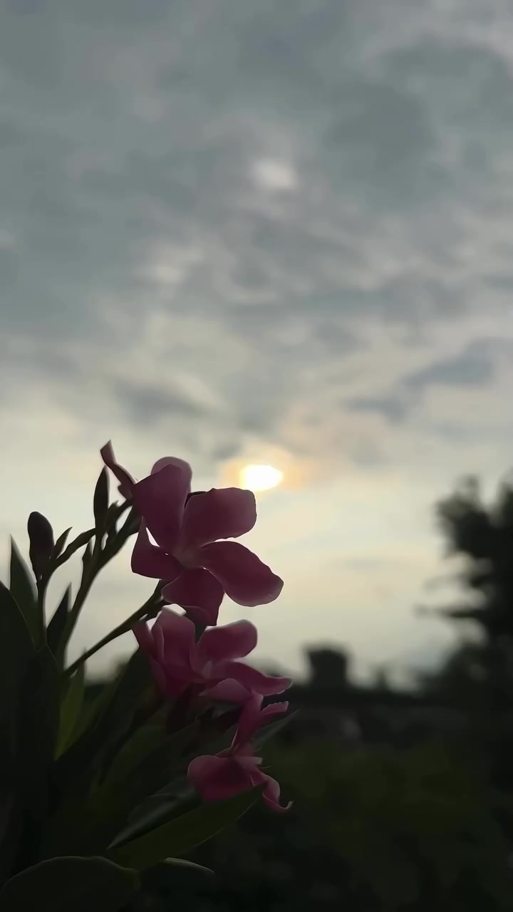 @B7F乛حسيب