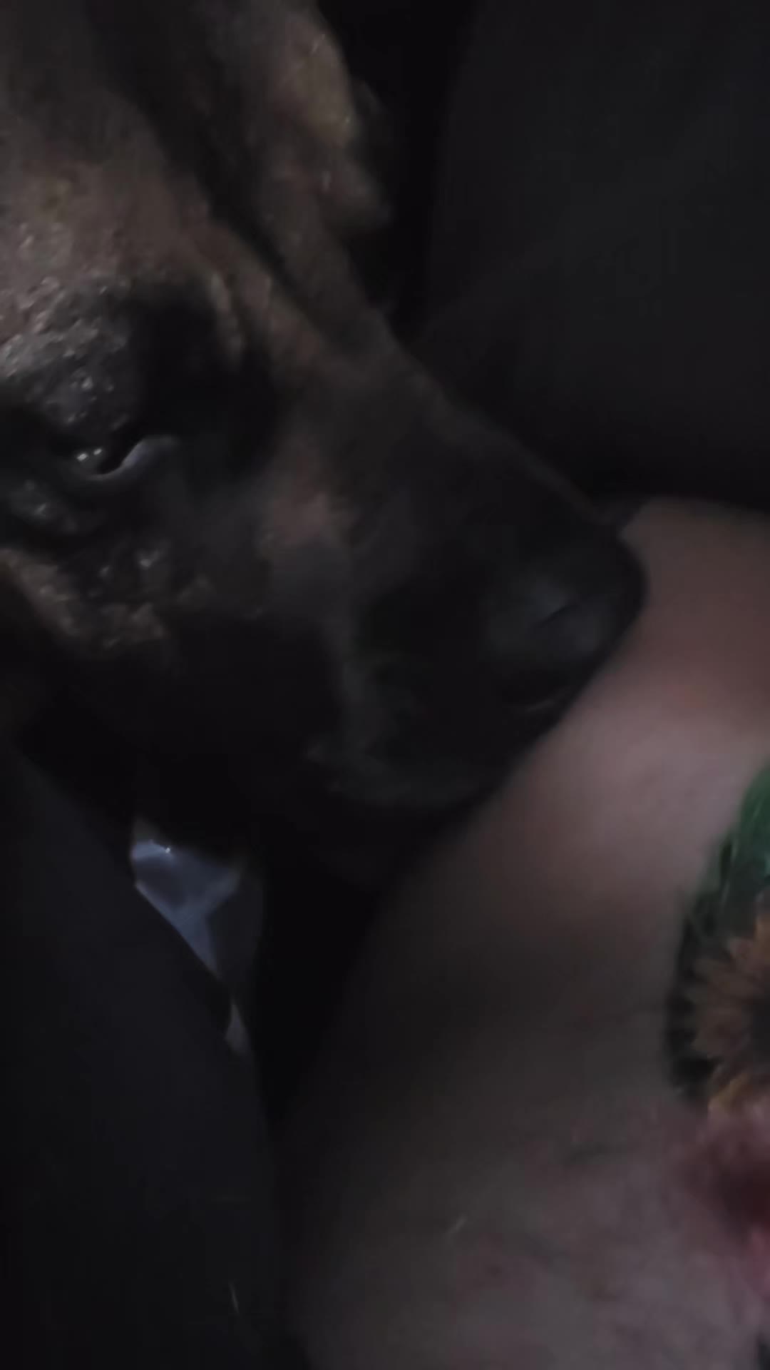 @HerculesThePresa