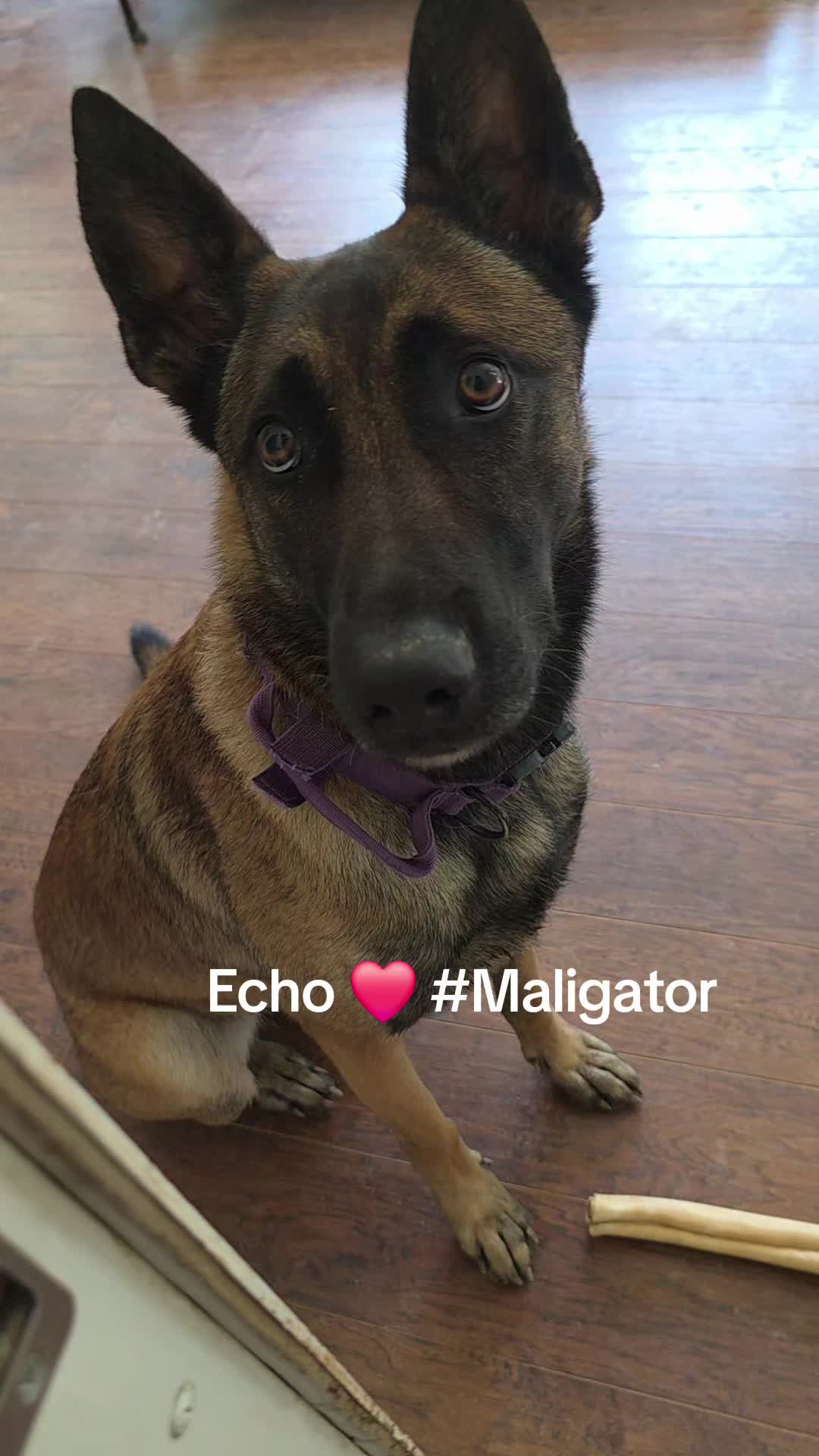 @Echo!