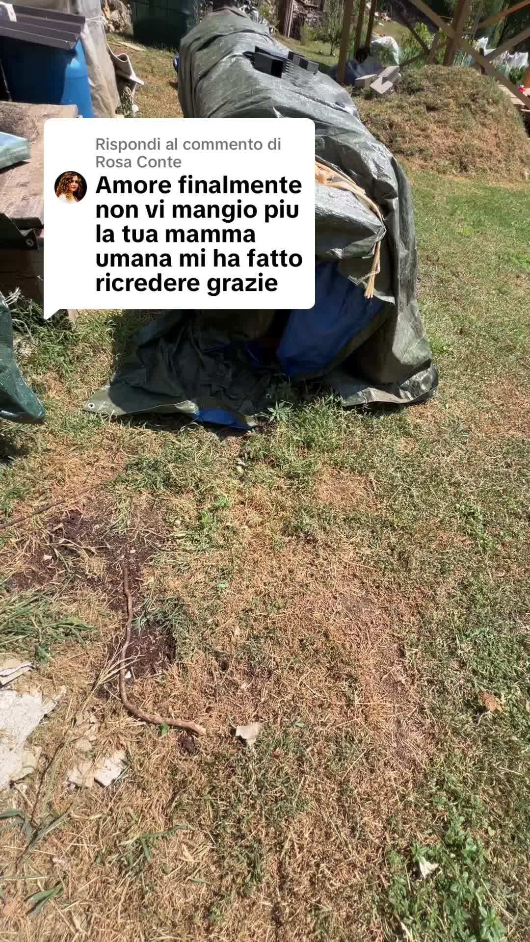 @Campo Azzurro 🔹