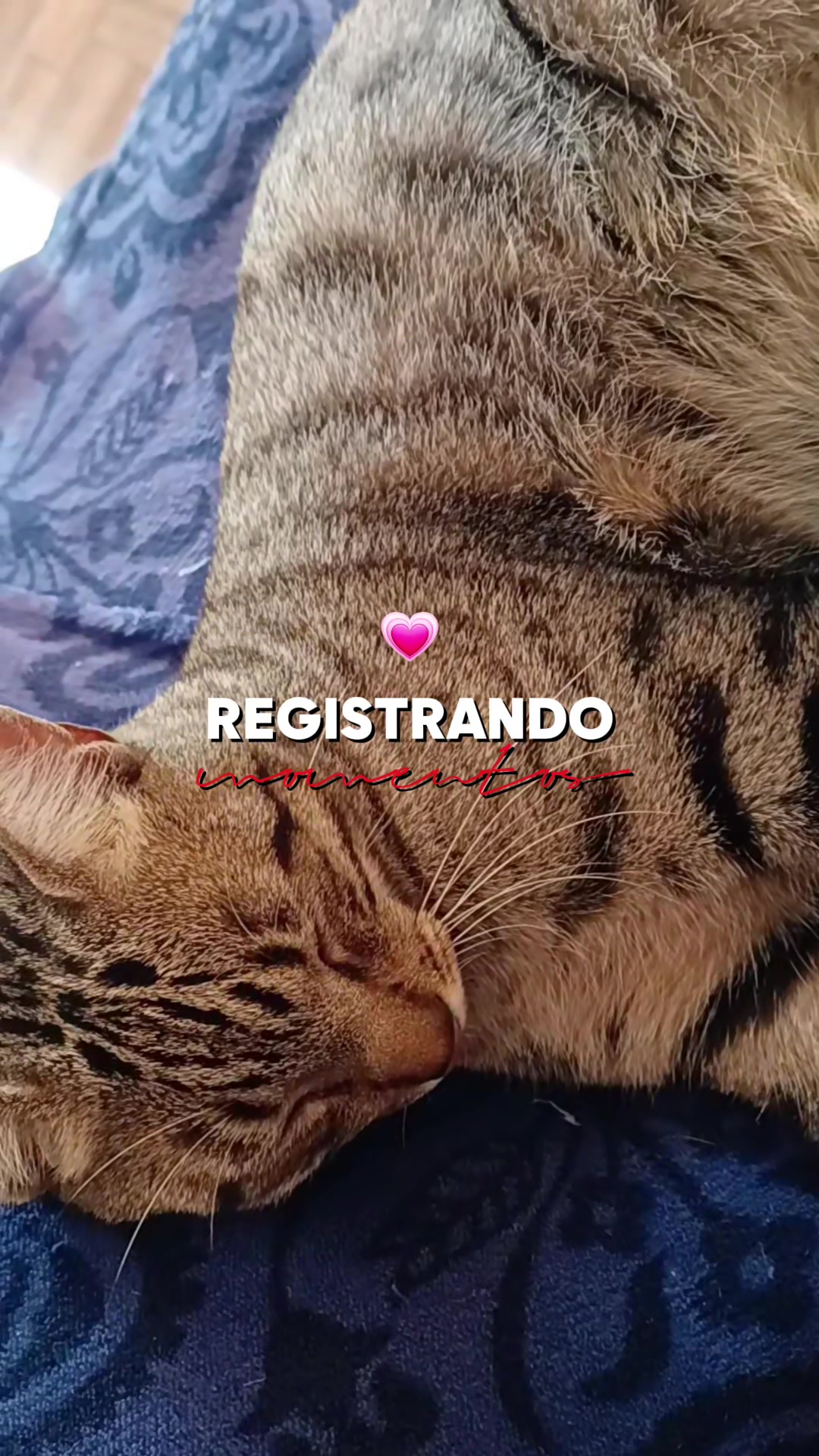 @Sueli Santos