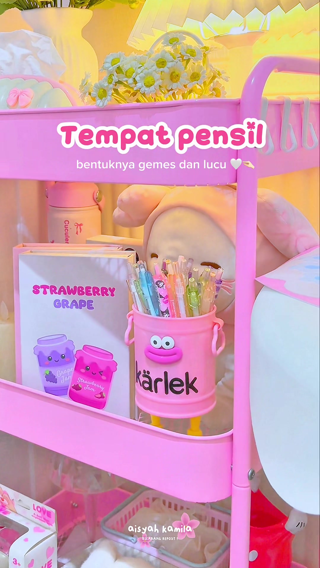 @Aisyah Kamila˚.🎀༘⋆
