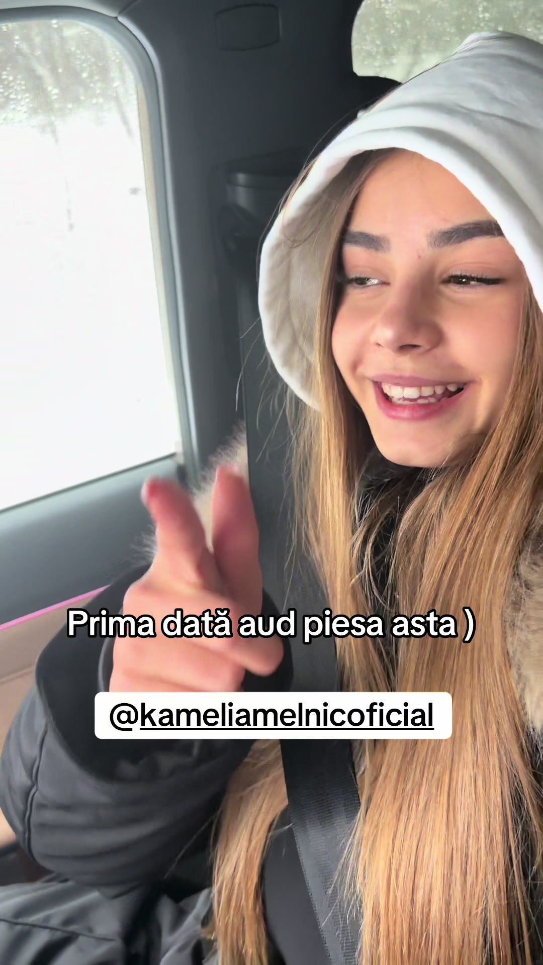@Anatolie Melnic