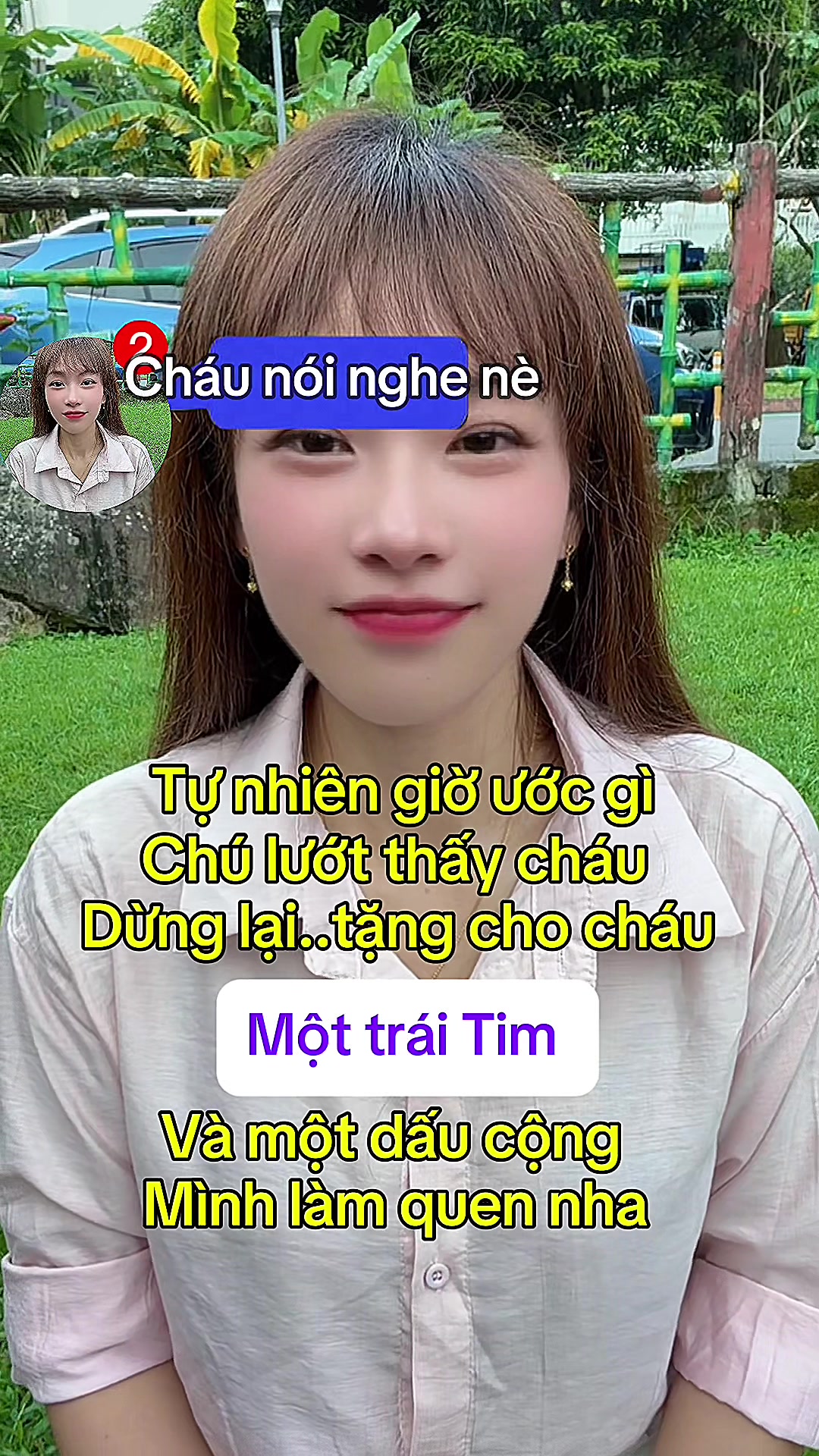 @KIẾN LỬA (螞蟻 )