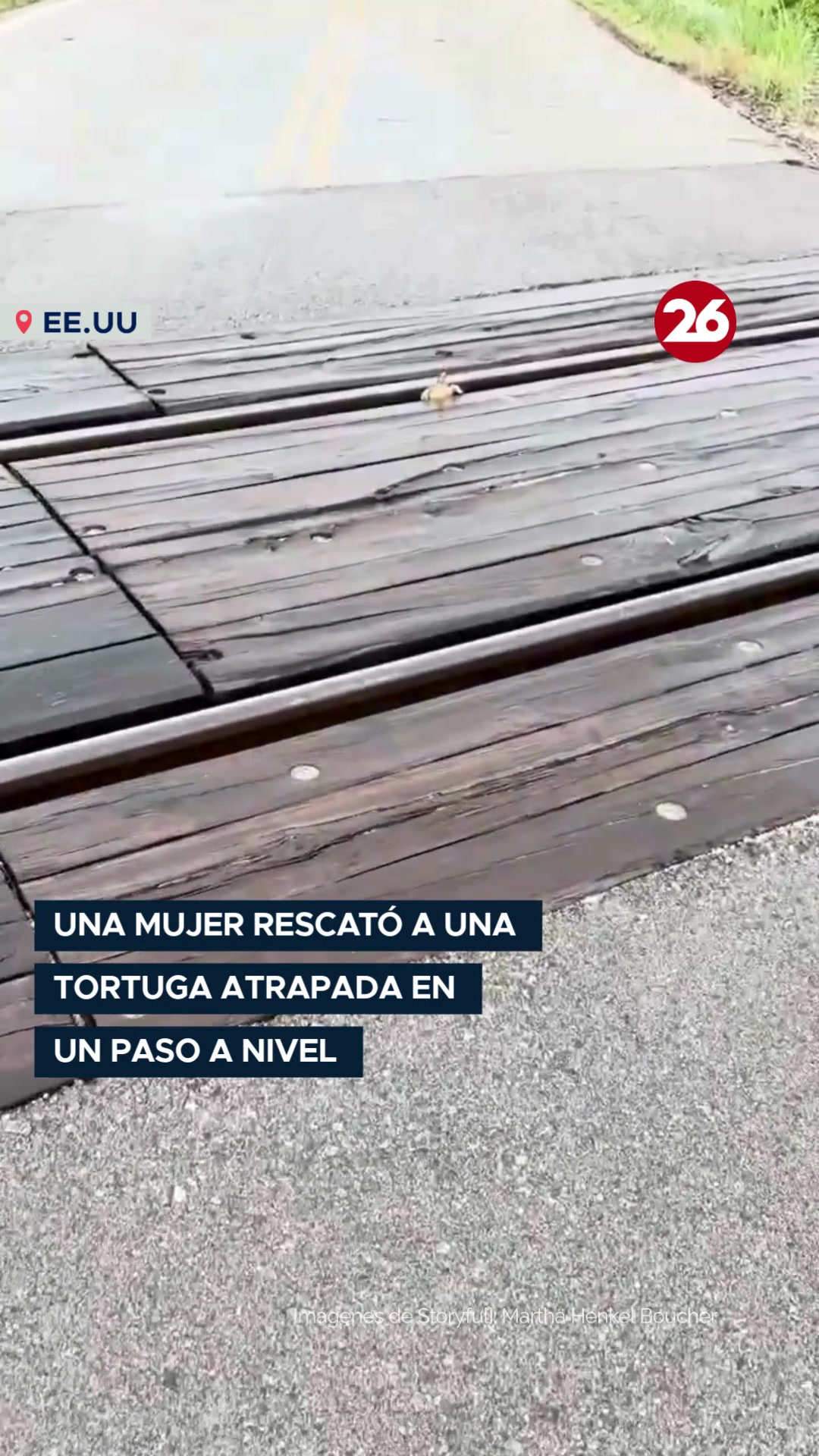 @Canal 26