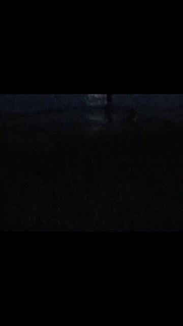 @тру́п номер4k