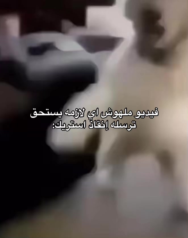 @الايقوني🗿