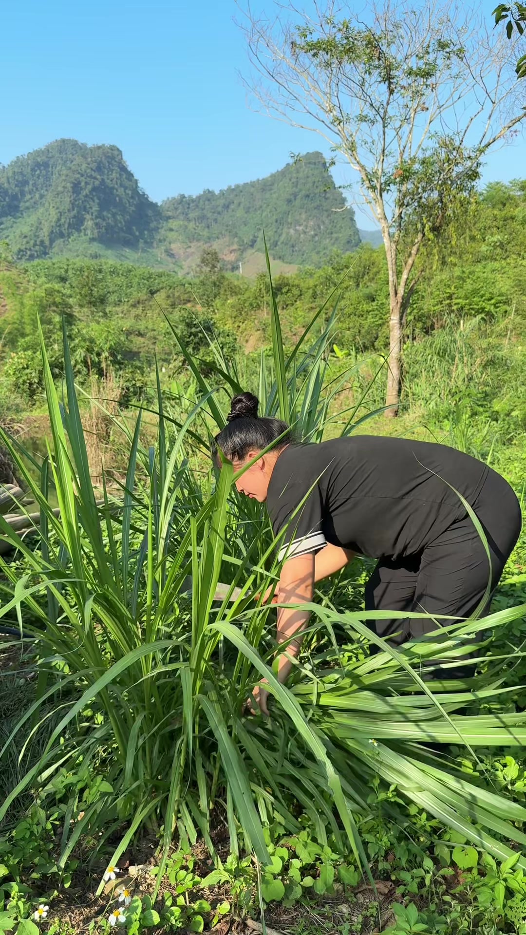 @Sức T&agrave;y