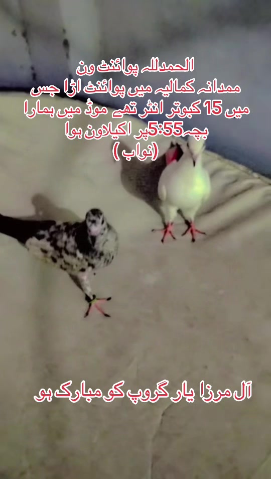 @Mirza Yar Mirza Yar