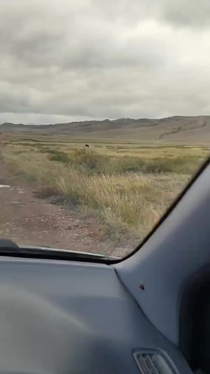 @Алексей