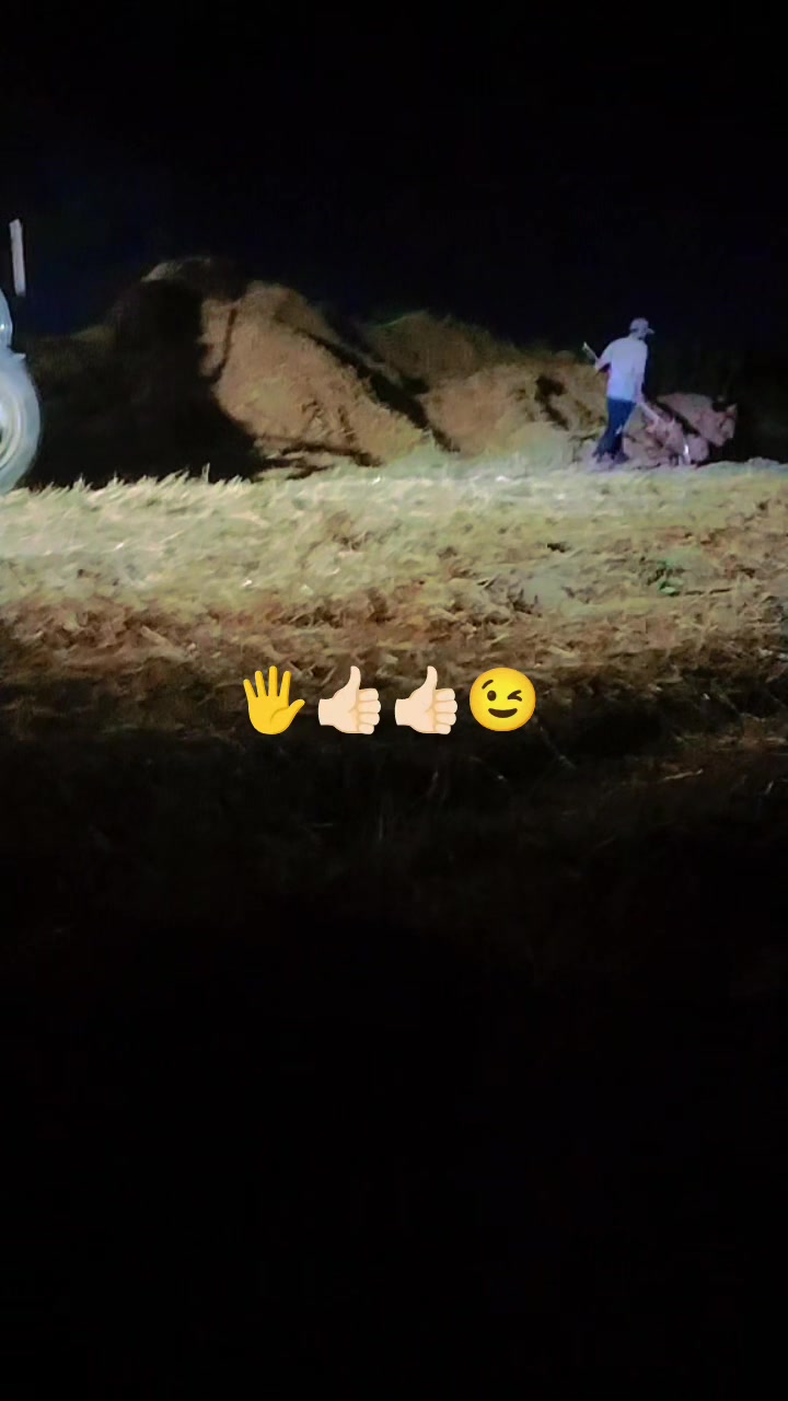 @Baxa 2005.   ➡️🌿☪️🔱