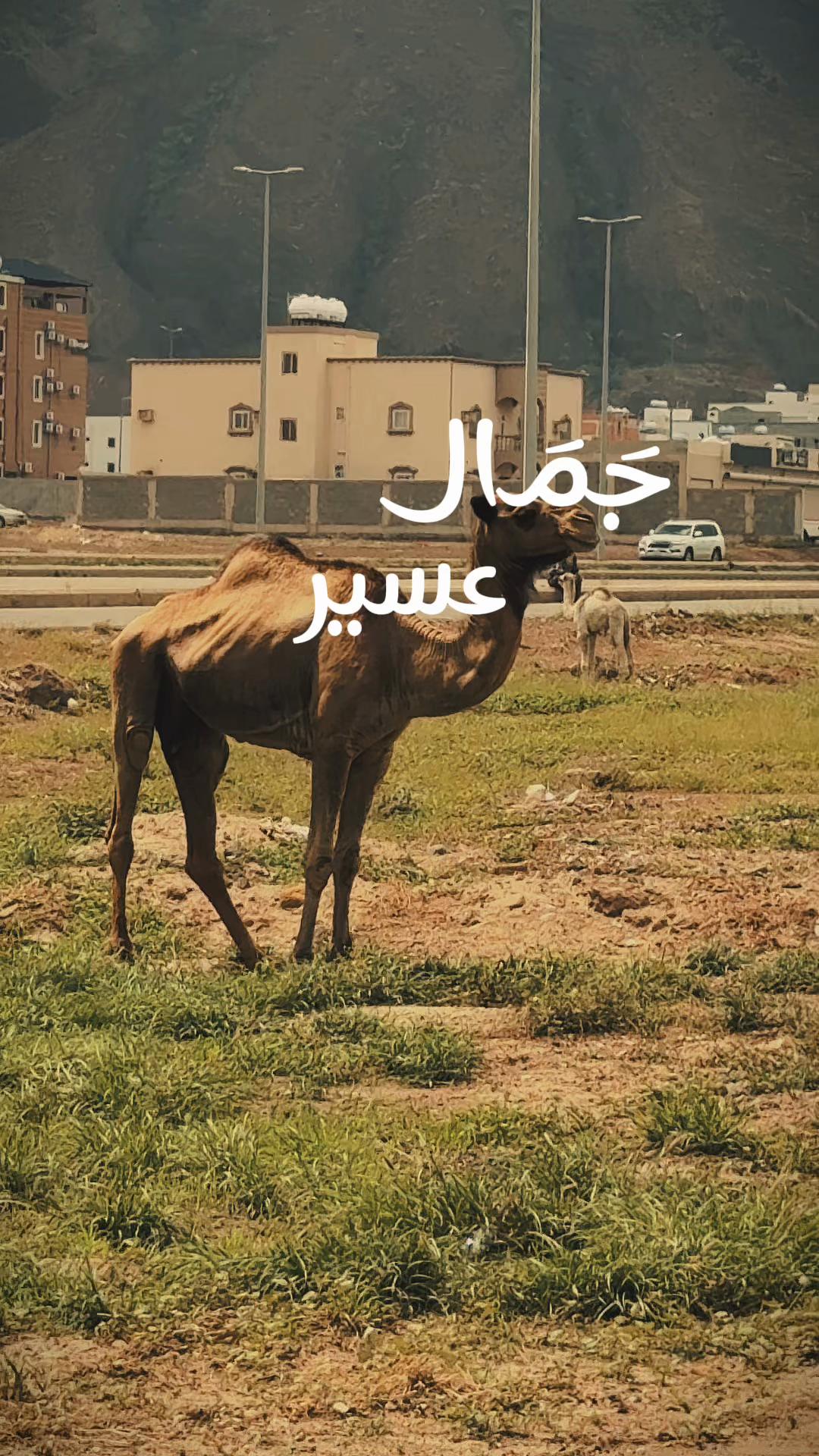 @نـوره | ١٩٩٤