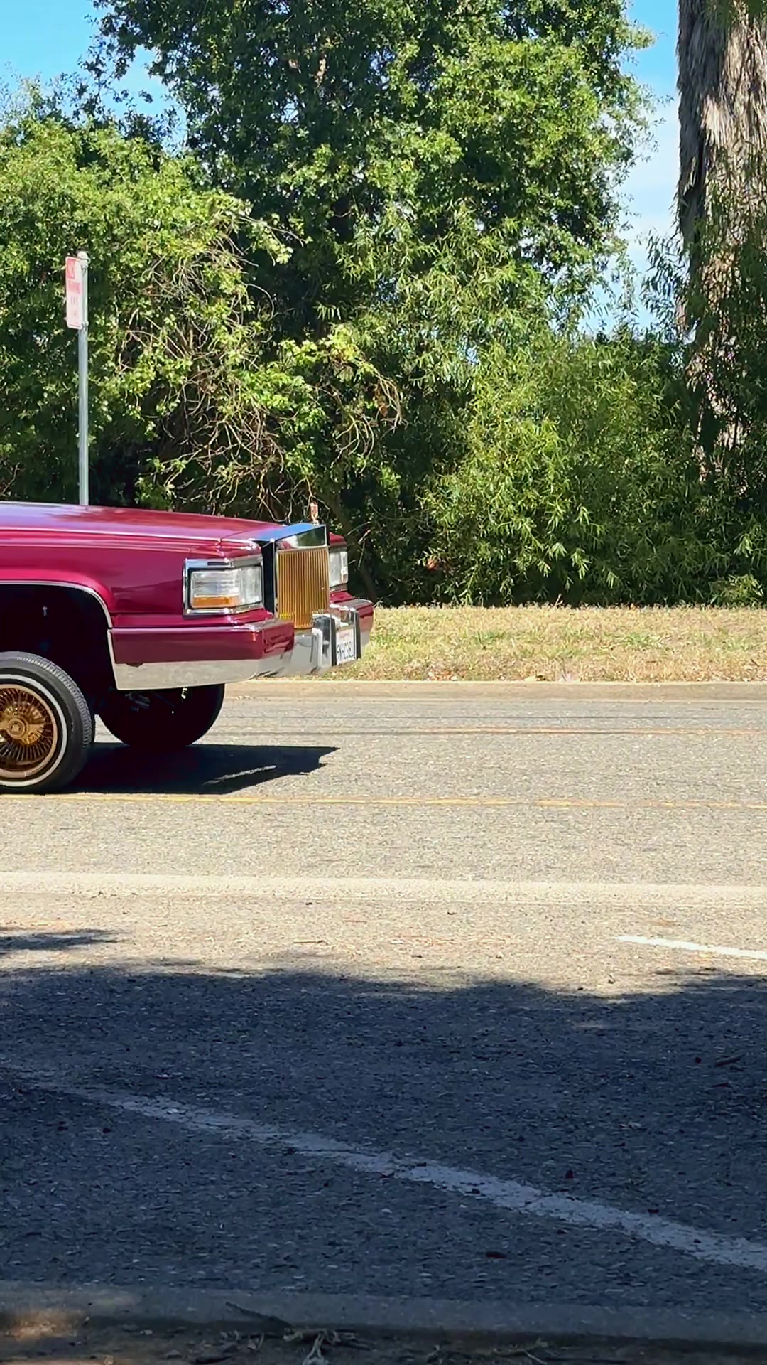 @IG @lowridingcultura