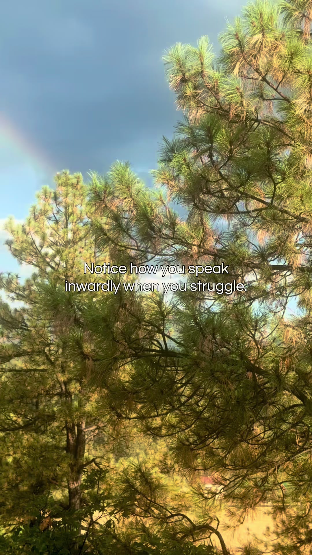 @Jasmin | A Rooted Life