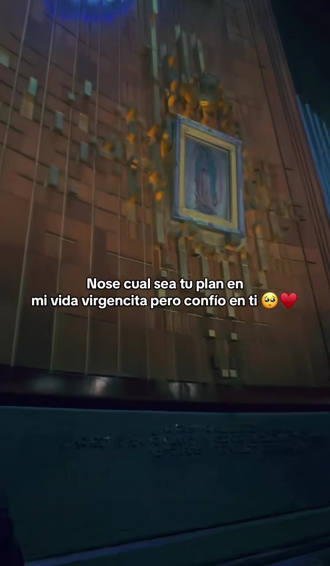 @♥️YJ♥️