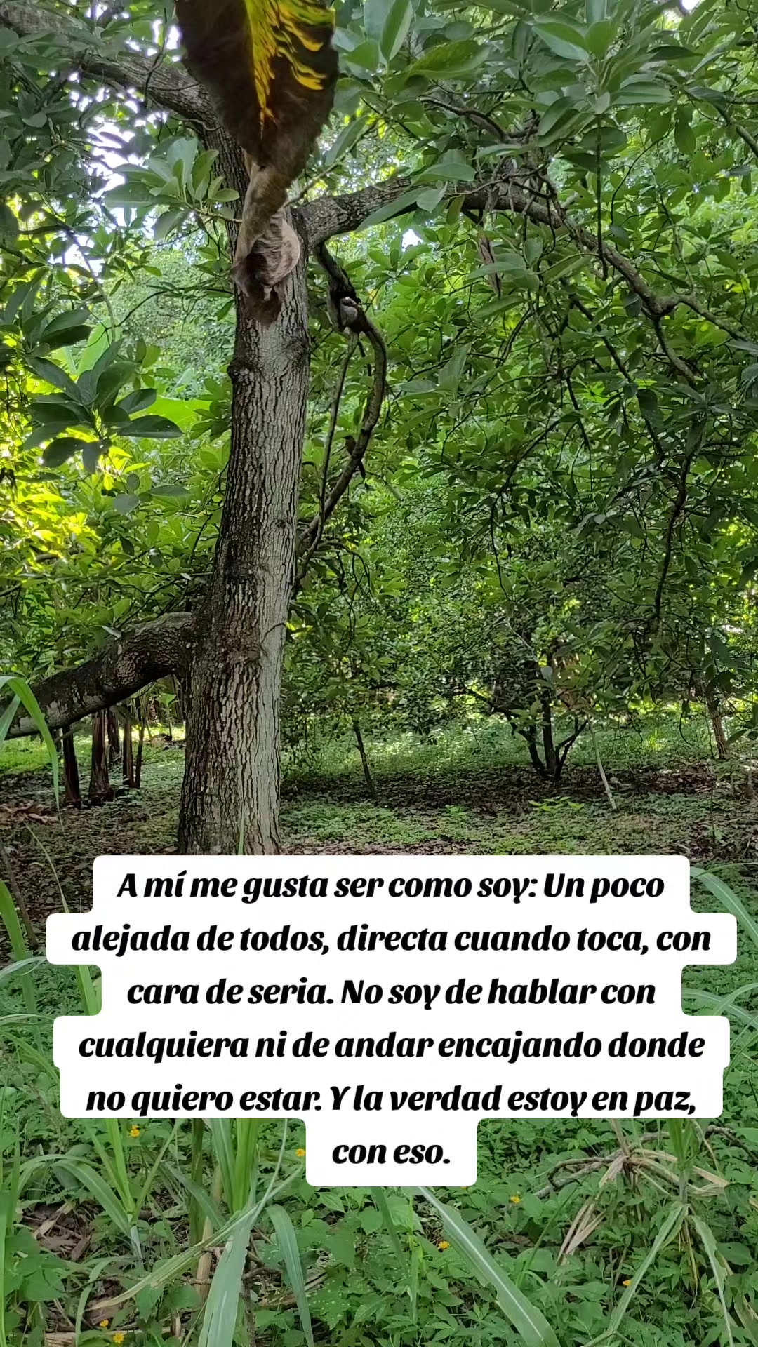 @Tamara Fuentes Artola