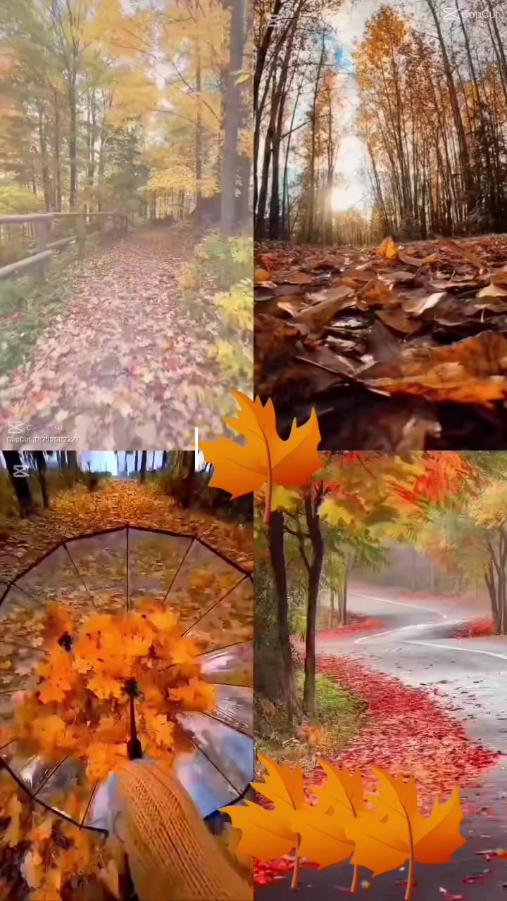 @Чынара ~🌹~