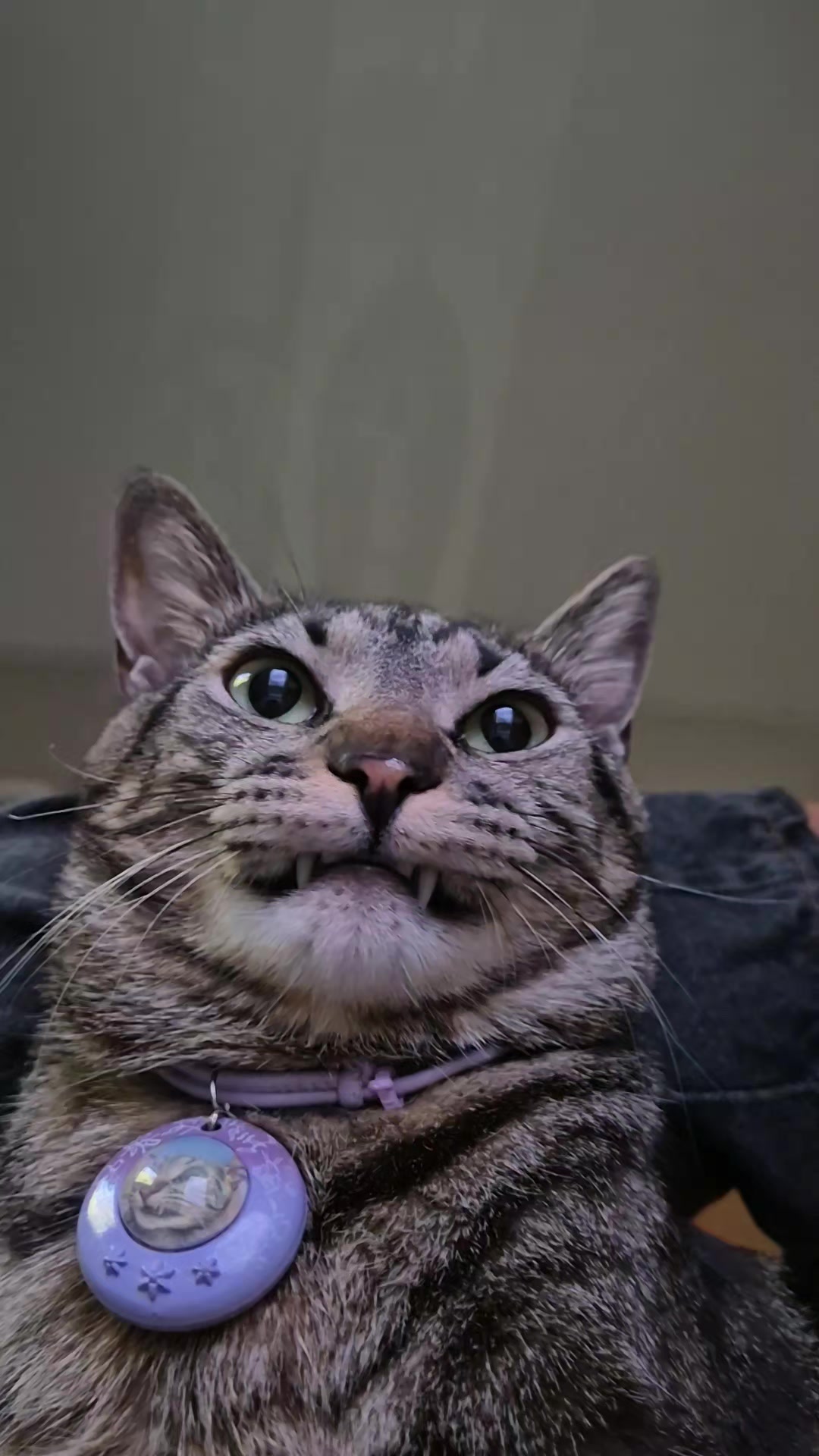 @Mushu