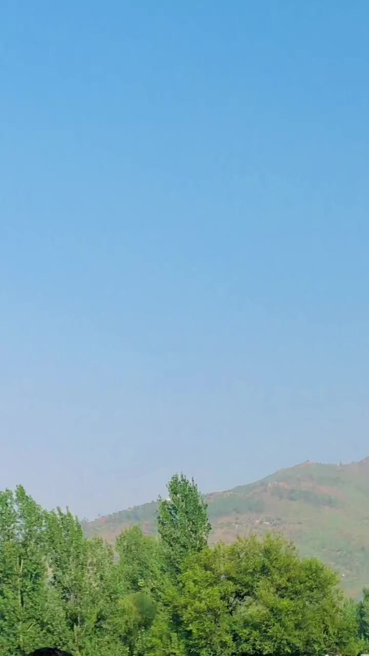 @MUHAMMAD ABBAS 56