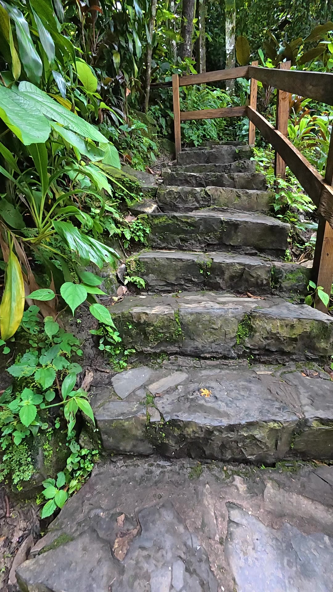 @Guía Xilitla HuastecaPotosina