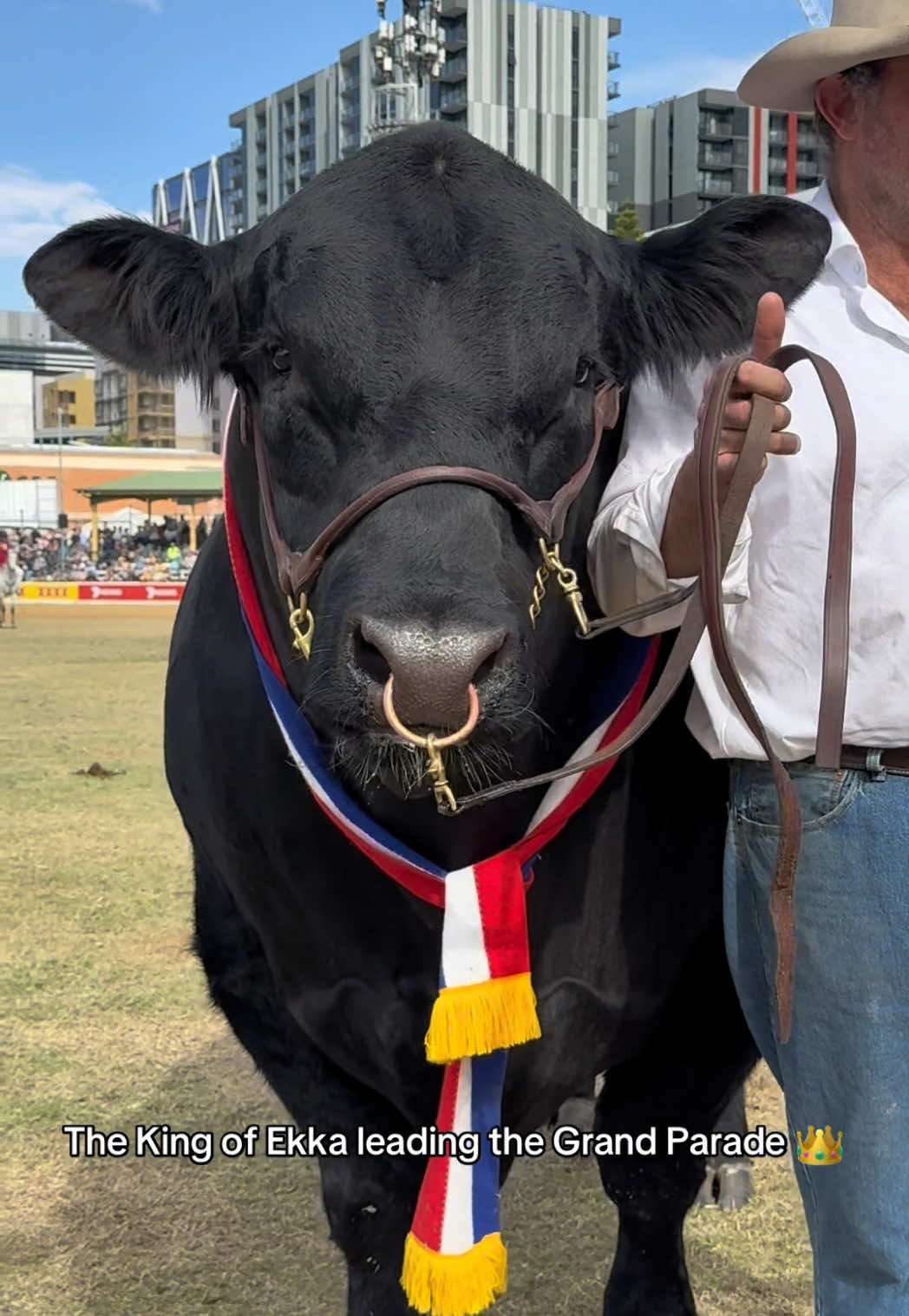 @Ekka (Royal Queensland Show)