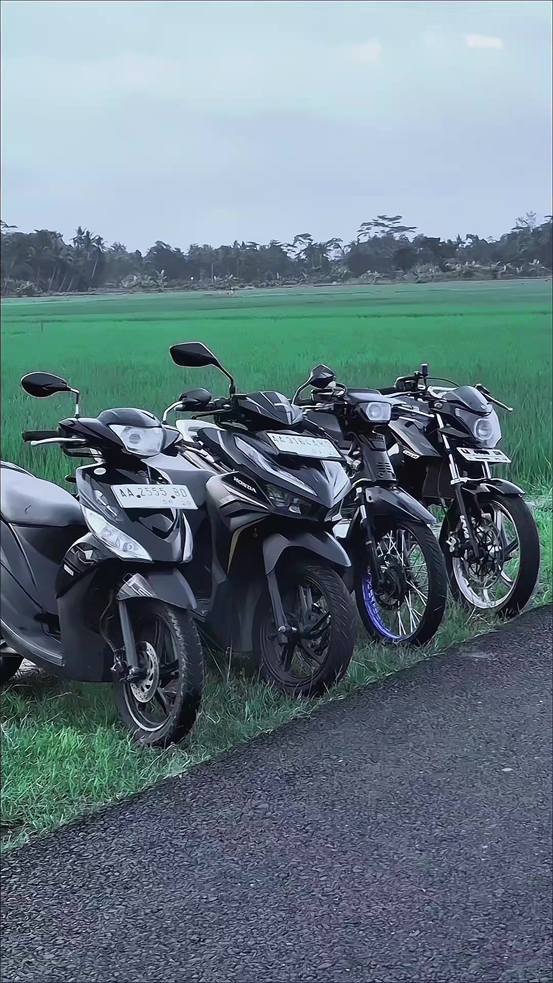 @Plat AA