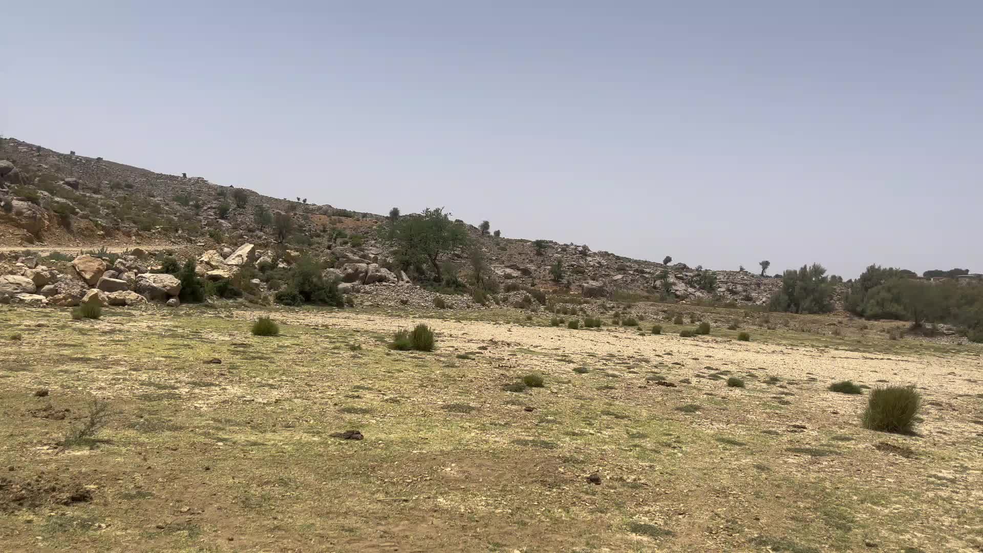 @ammir marri