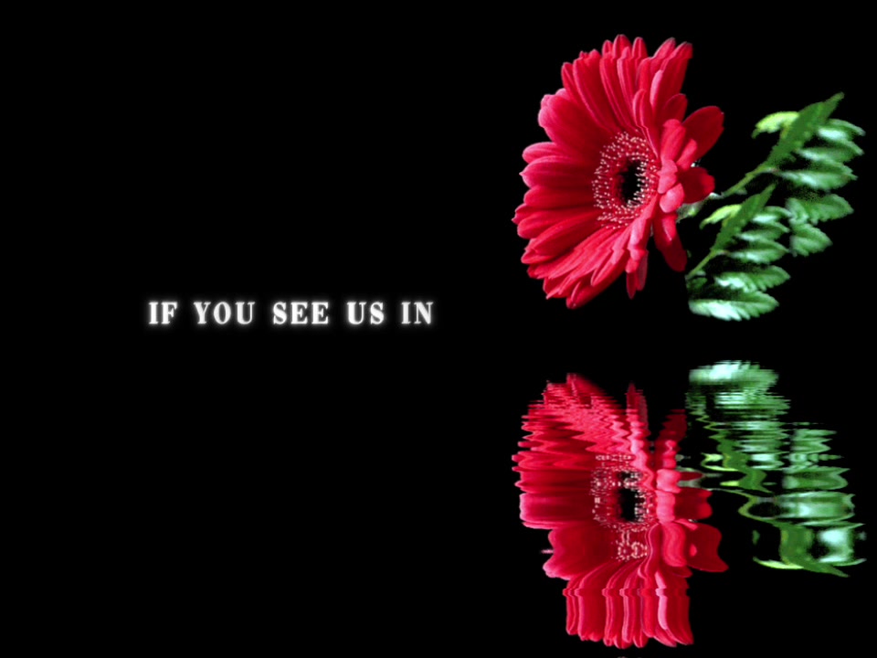 @speed songs | lyrics