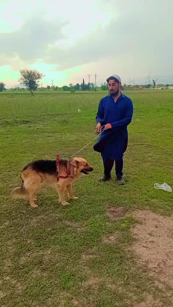 @🇦🇫꧁༺ӄɦǟաǟɢǟ ʐǟʀ༻꧂🇦🇫