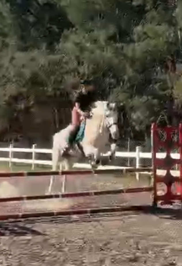 @𝓔𝓶𝓶𝓪👱&zwj;♀️&𝓑𝓪𝓻𝓫𝓲𝓮🦄