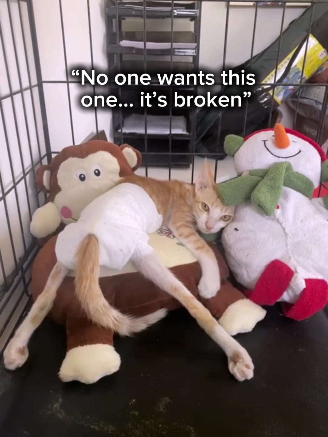 @Matt McGlasson, DVM