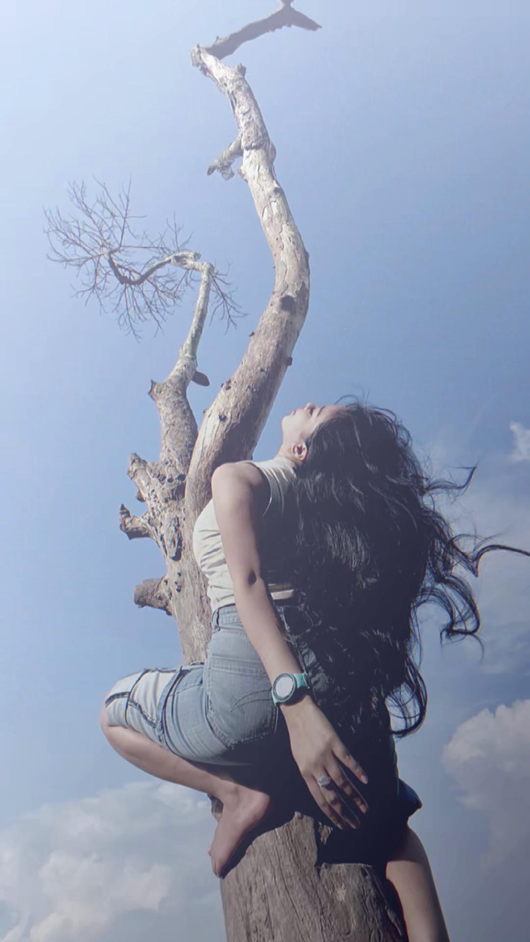 @dianakyora