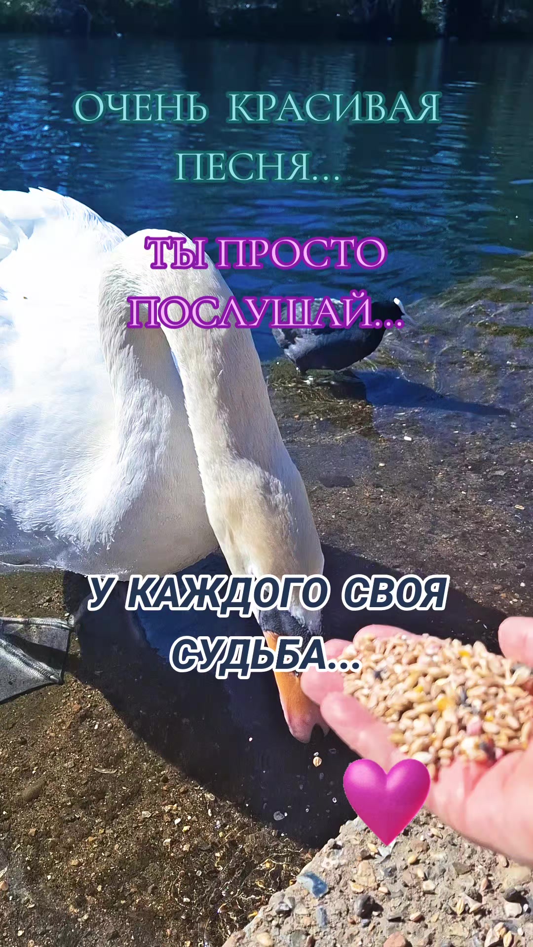 @Алёна А