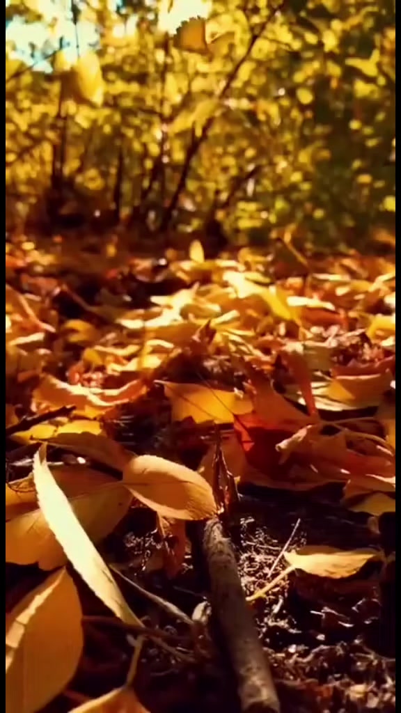 @любимые мелодии друзья
