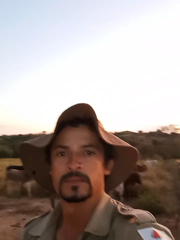 @Paulo Henrique