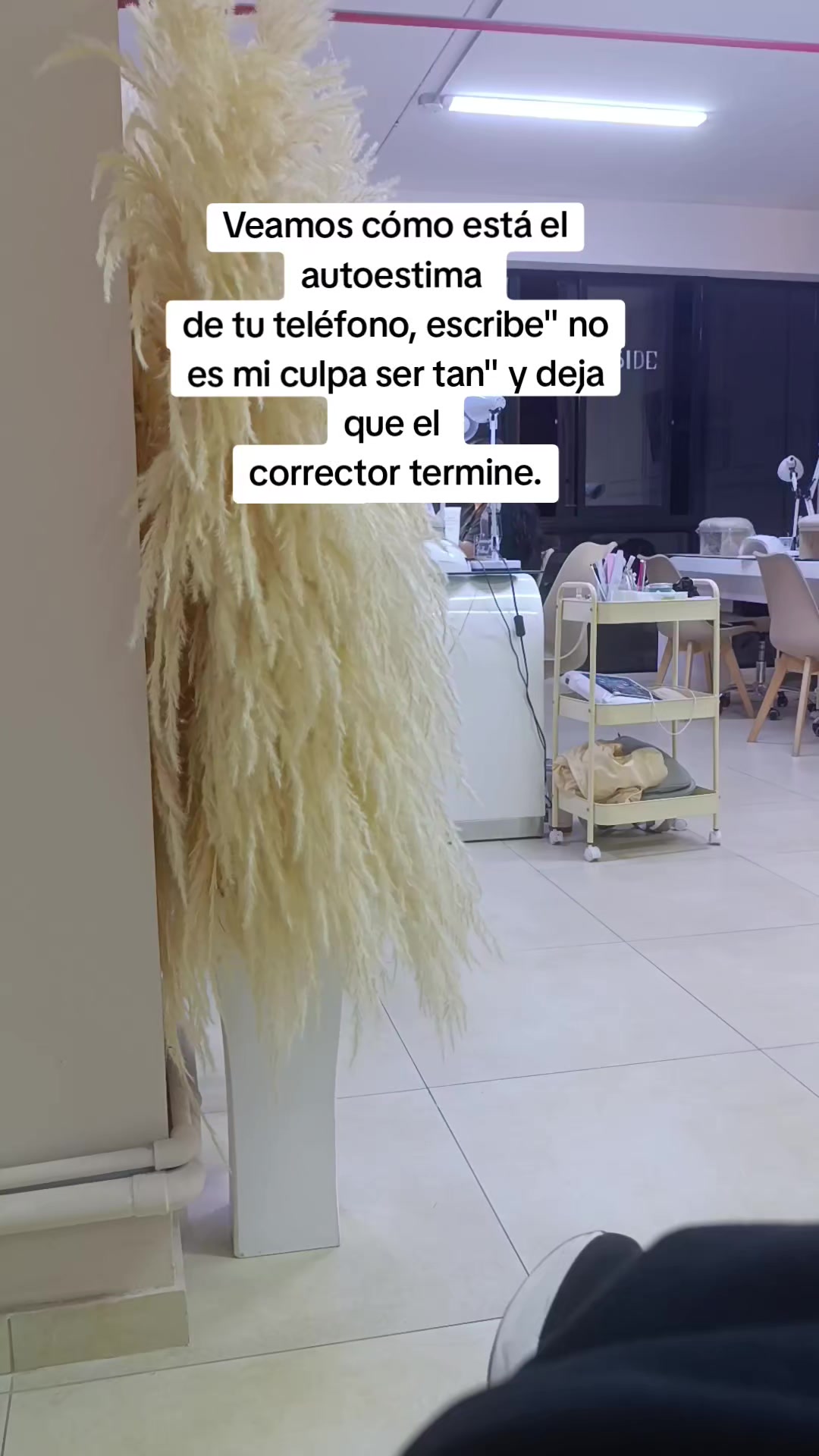 @Lesly Campos D&iacute;az