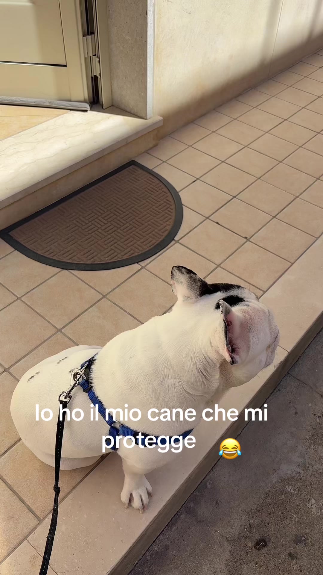 @~~Chiara 🍀~~