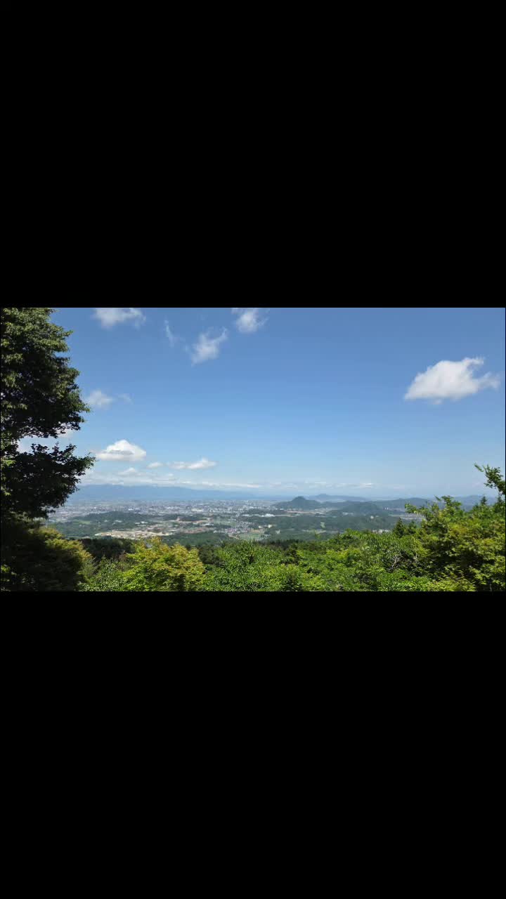 @ステラおじさん 🐻⛰️🐻