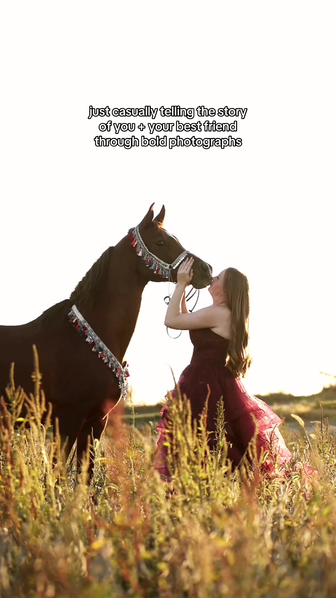 @Tisha 📸🦄 Equestrian Photog