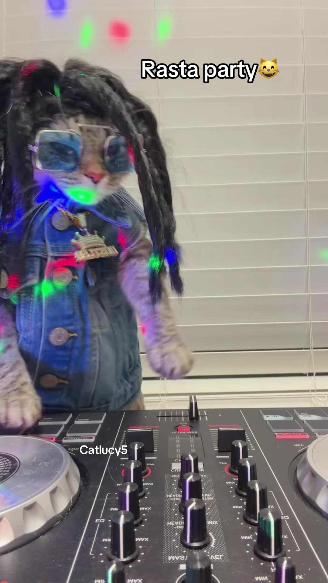 @Cat Lucy