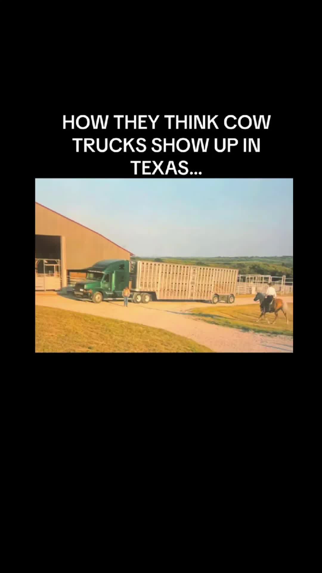 @Travis
